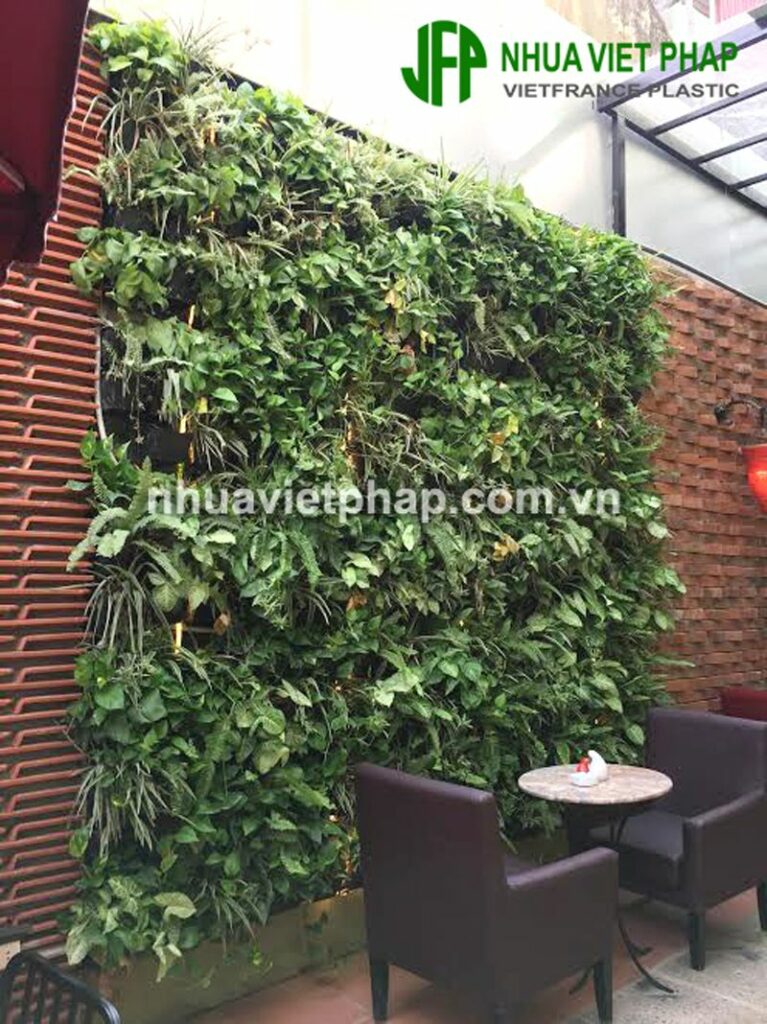Nhựa Việt Pháp Gỗ nhựa Nhựa Việt Pháp