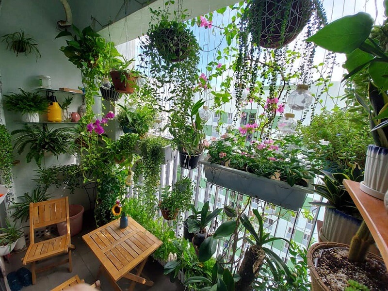 Nhựa Việt Pháp Gỗ nhựa Nhựa Việt Pháp