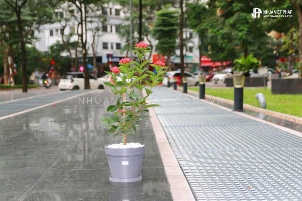 Nhựa Việt Pháp Gỗ nhựa Nhựa Việt Pháp