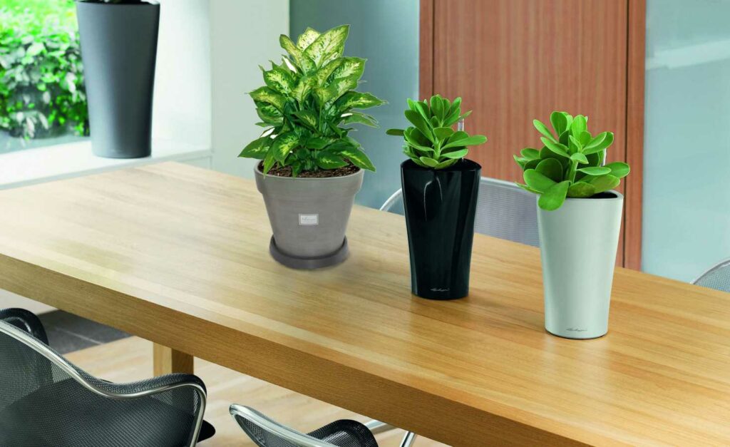 Nhựa Việt Pháp Gỗ nhựa Nhựa Việt Pháp