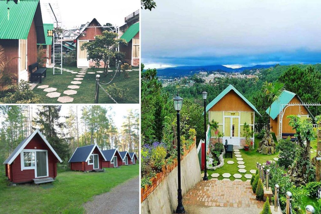 Nhựa Việt Pháp Gỗ nhựa Nhựa Việt Pháp