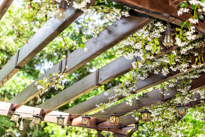 Nhựa Việt Pháp Gỗ nhựa Nhựa Việt Pháp